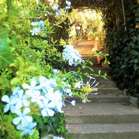 Delle Rose Bed & Breakfast Cefalu Bagian luar foto