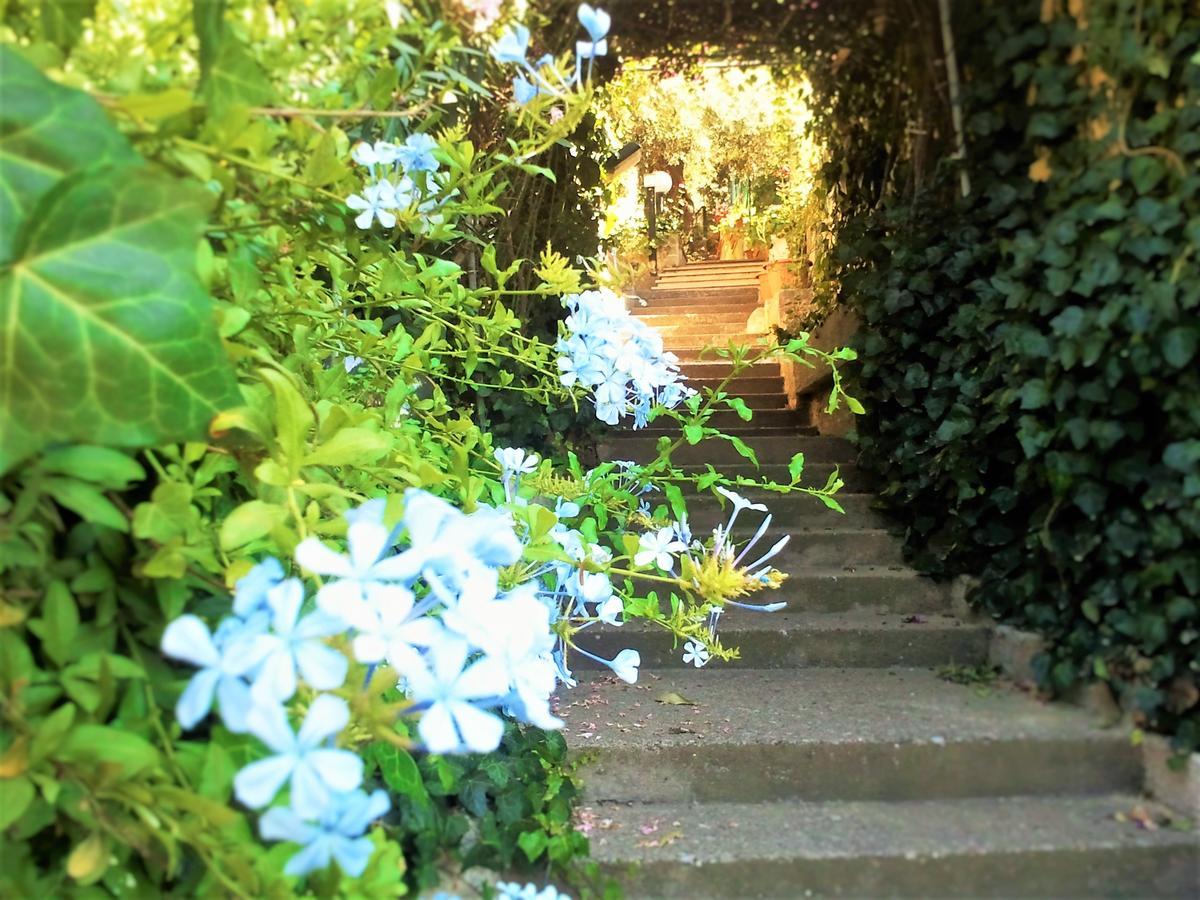 Delle Rose Bed & Breakfast Cefalu Bagian luar foto