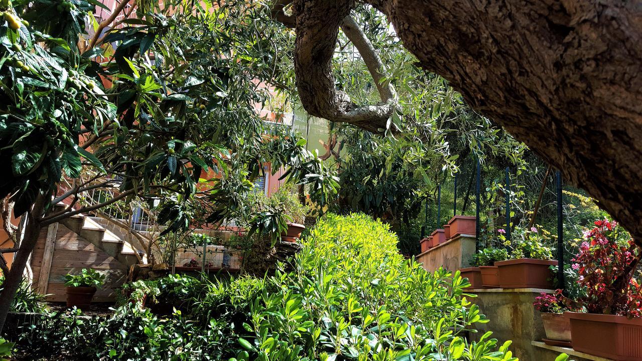 Delle Rose Bed & Breakfast Cefalu Bagian luar foto