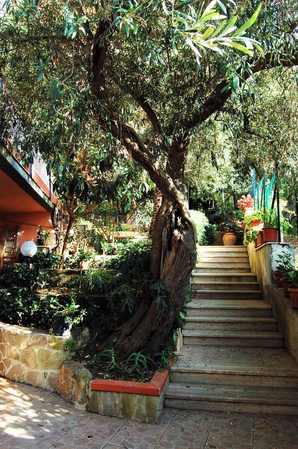Delle Rose Bed & Breakfast Cefalu Bagian luar foto