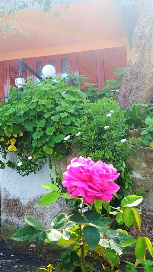 Delle Rose Bed & Breakfast Cefalu Bagian luar foto